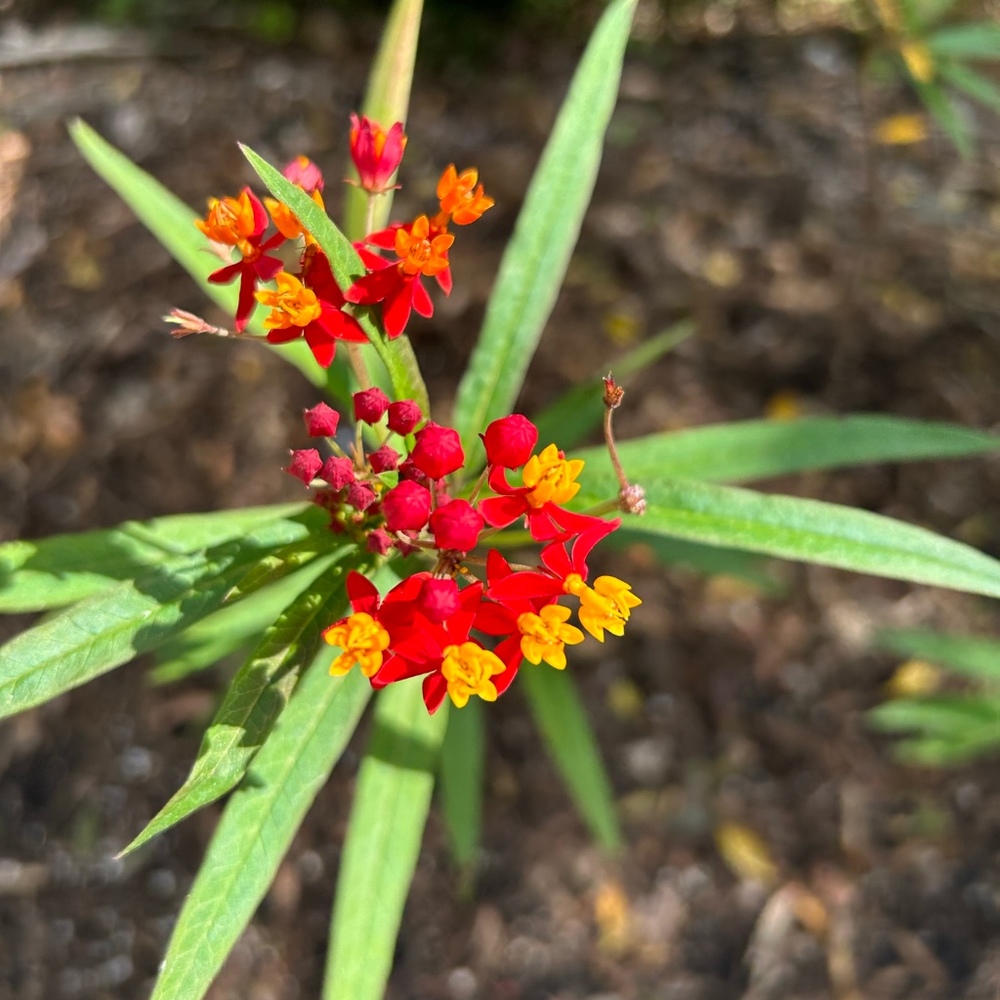 Meet your Posher, Posh